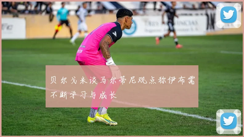 贝尔戈米谈马尔蒂尼观点称伊布需不断学习与成长